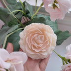 Miroa™ Peony Candle and Stone Diffuser Kit