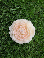 Miroa™ Peony Candle