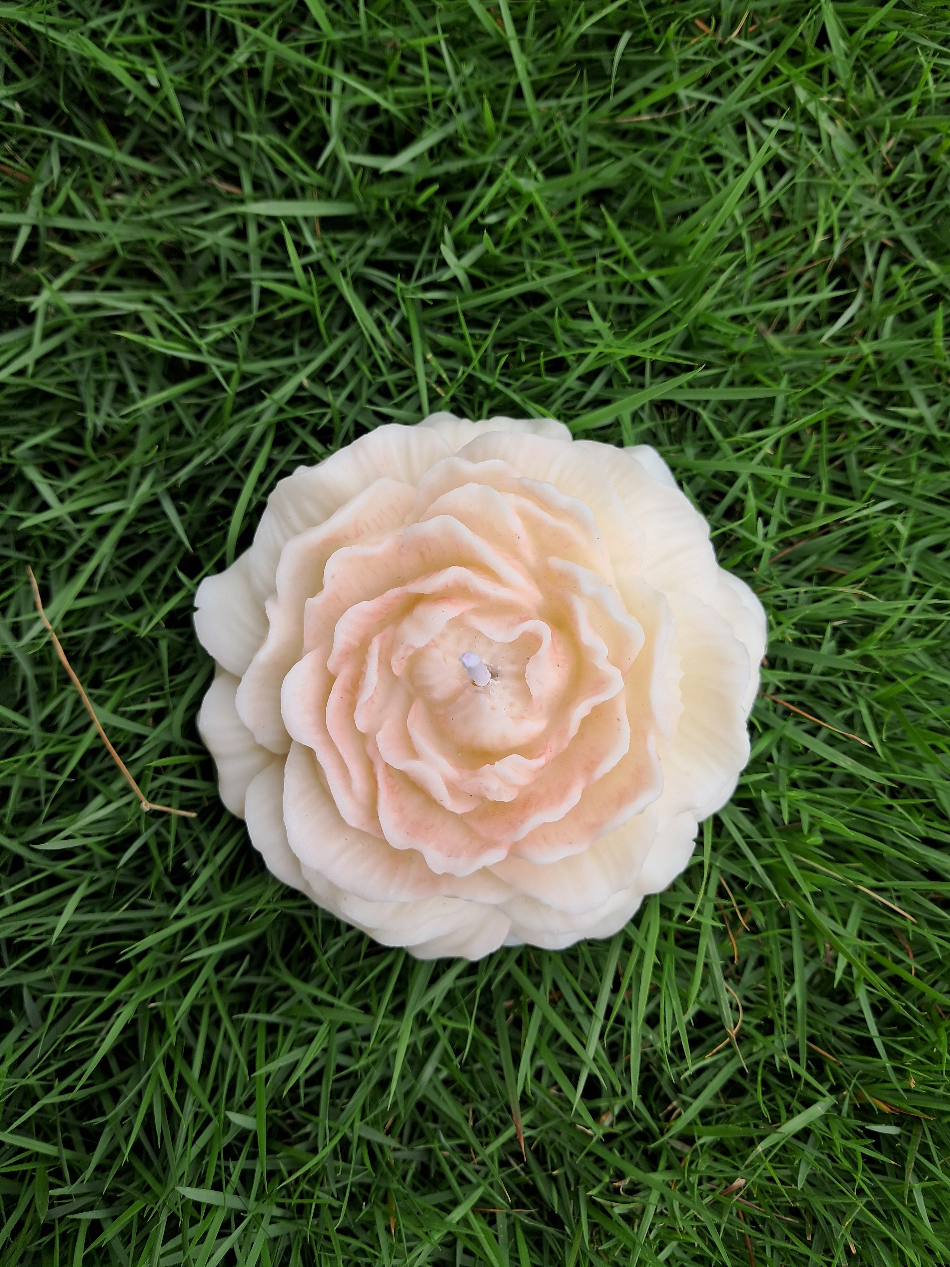 Miroa™ Peony Candle