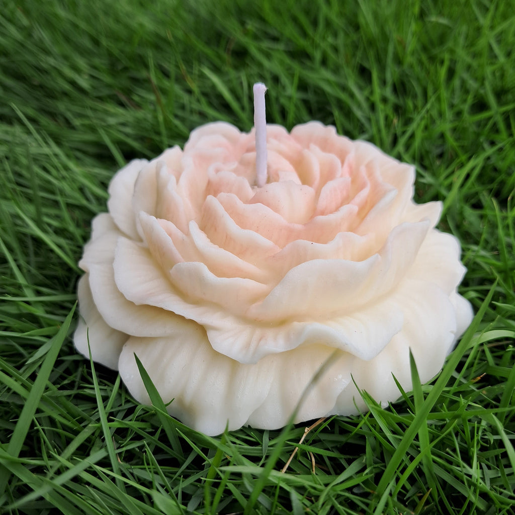 Miroa™ Peony Candle and Stone Diffuser Kit