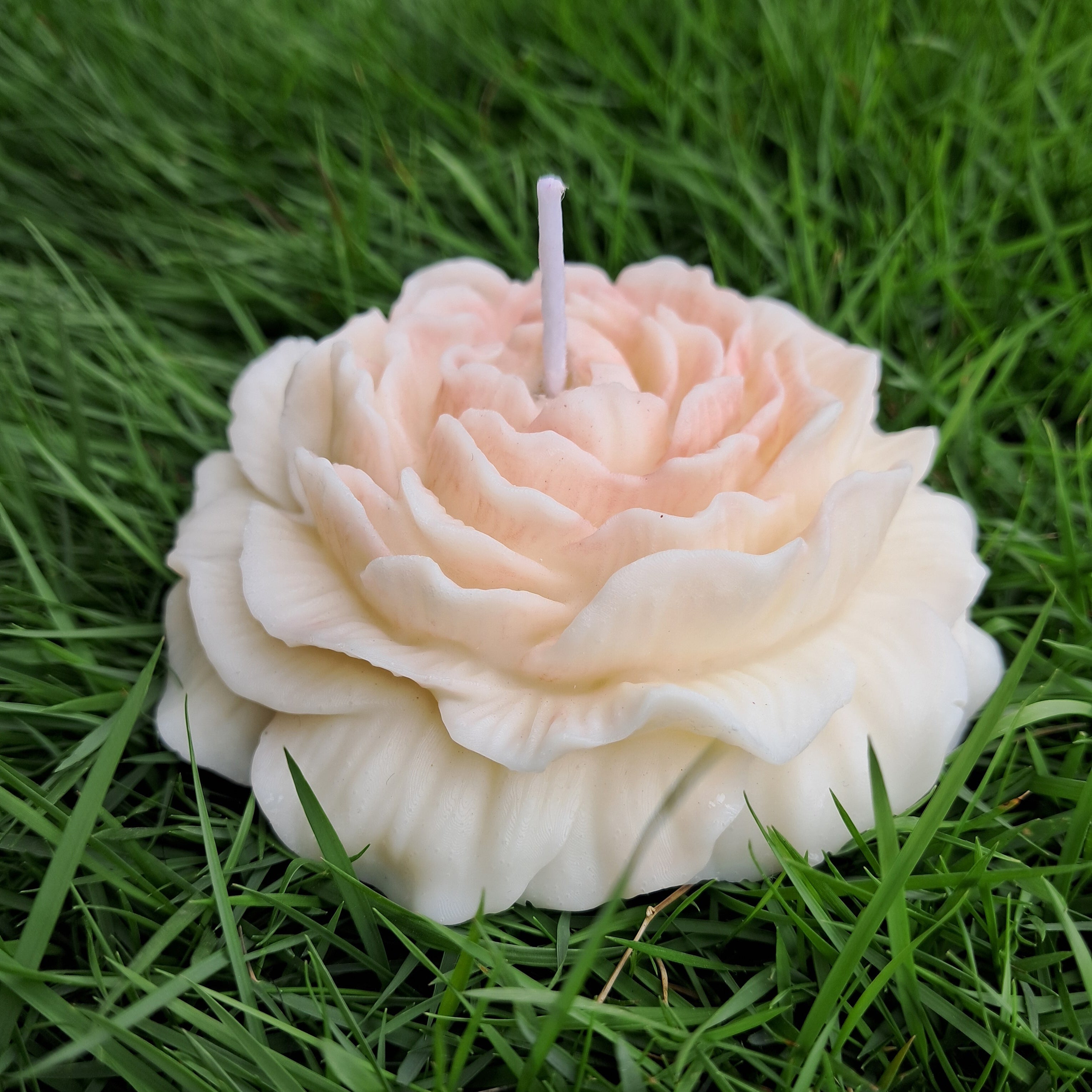 Miroa™ Peony Candle and Stone Diffuser Kit