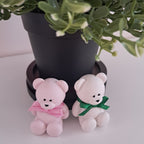 Miroa™ Mini Teddy Bear Diffuser Kit